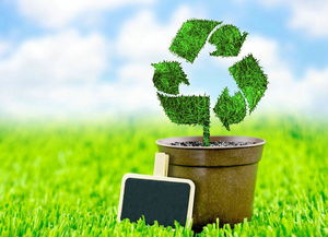 JVM垃圾回收器工作原理及在油料与农副产品收购系统中的应用实例