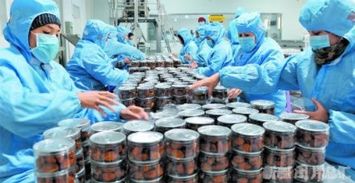 新疆农产品购销“两张网”形成框架，油料及农副产品收购提质增效